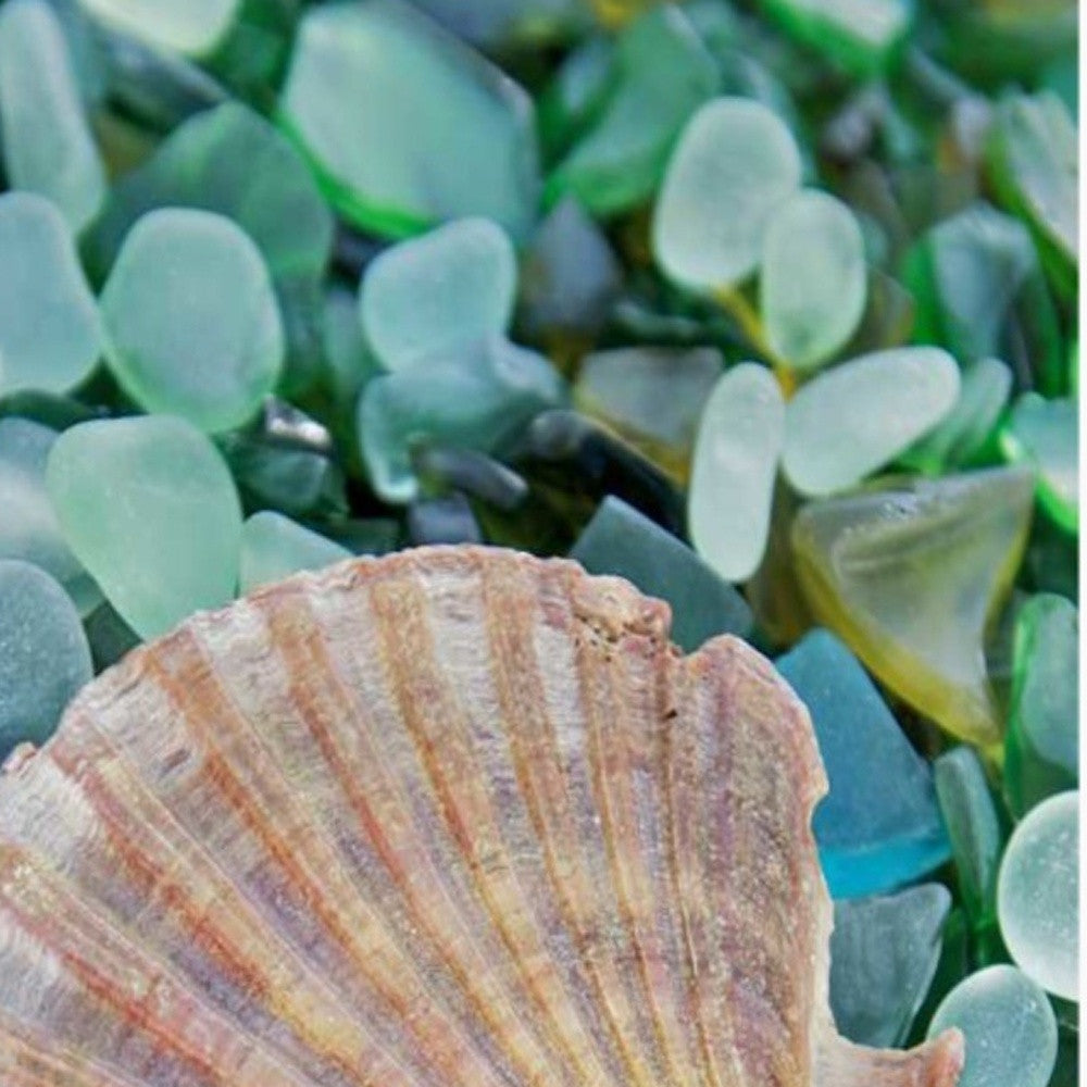 HomeRoots 25" Seashell and Seaglass Giclee Wrap Canvas Wall Art
