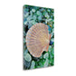 HomeRoots 25" Seashell and Seaglass Giclee Wrap Canvas Wall Art