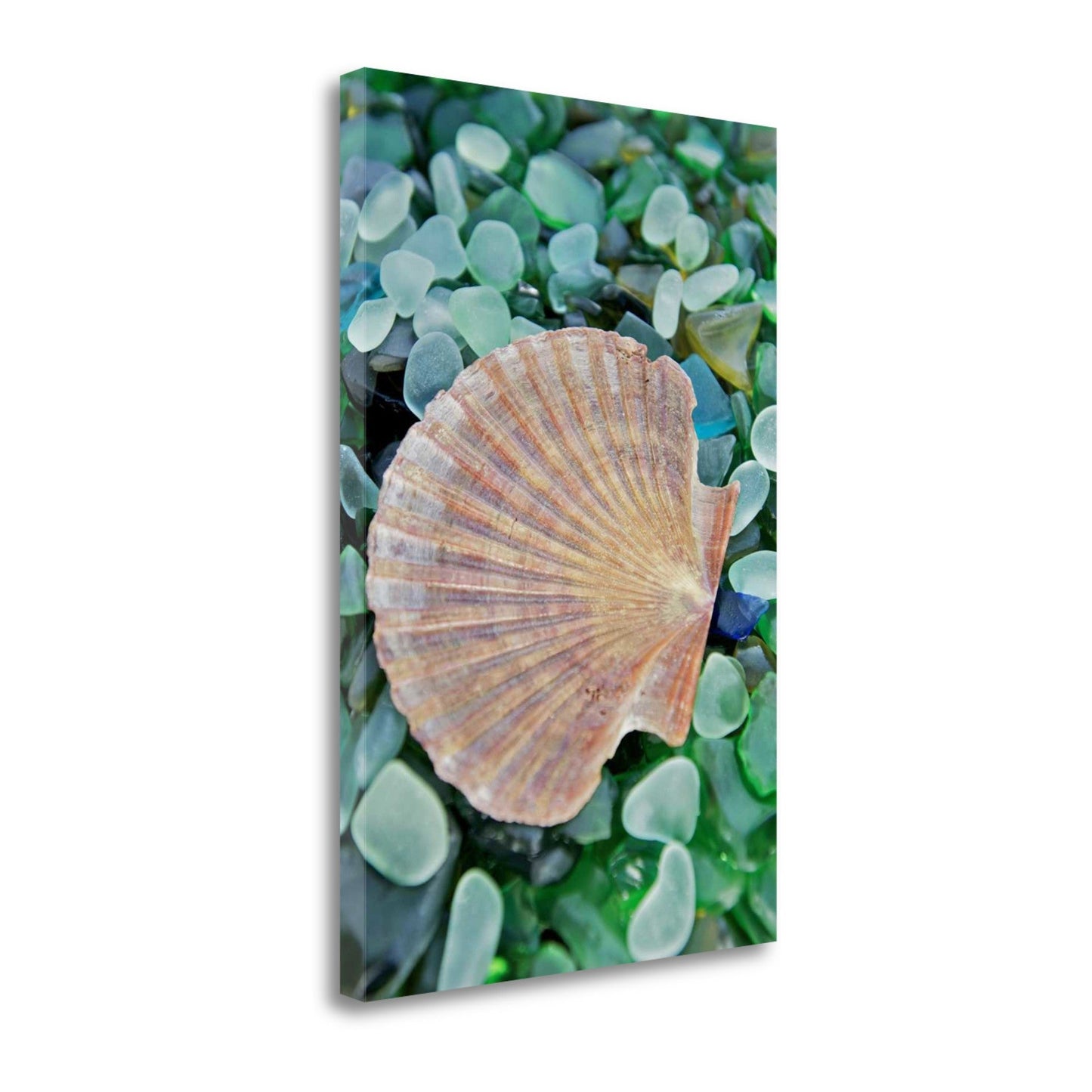 HomeRoots 25" Seashell and Seaglass Giclee Wrap Canvas Wall Art