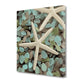 HomeRoots 25" Starfish and Seaglass Giclee Wrap Canvas Wall Art