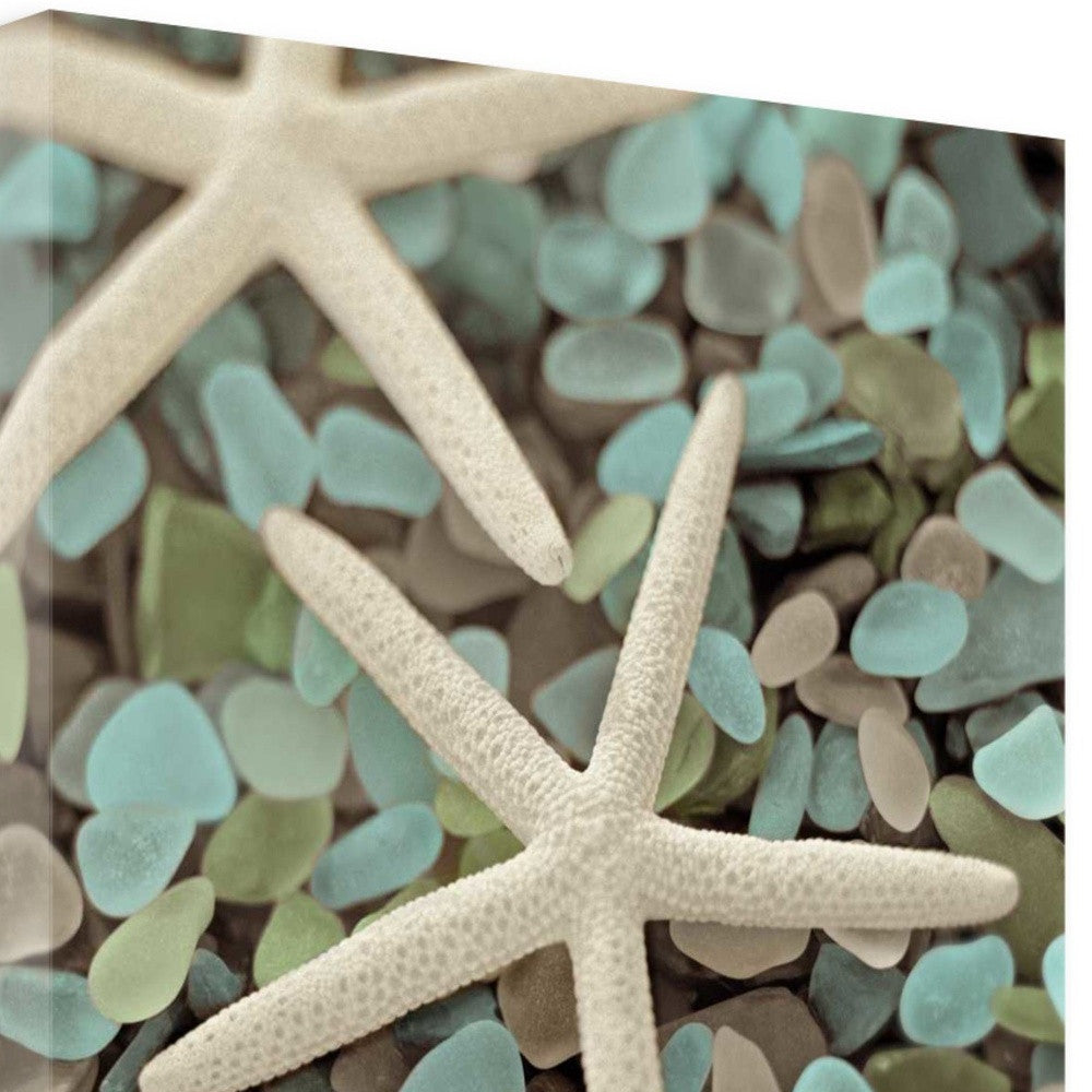 HomeRoots 25" Starfish and Seaglass Giclee Wrap Canvas Wall Art