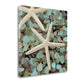 HomeRoots 25" Starfish and Seaglass Giclee Wrap Canvas Wall Art