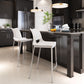 HomeRoots 25" White And Silver Steel Low Back Counter Height Bar Chairs in Set of Two