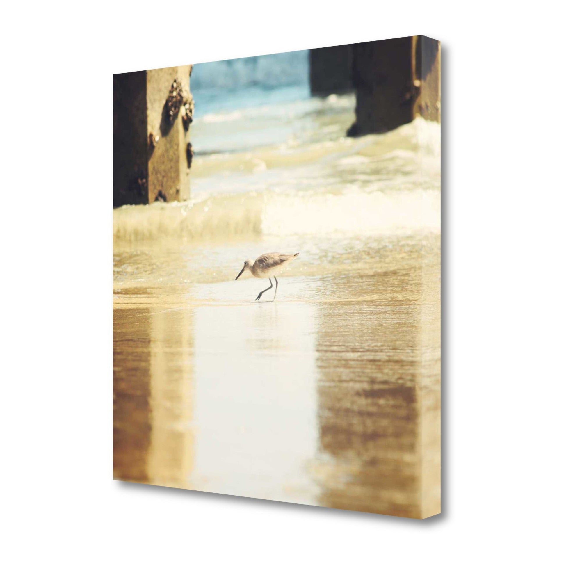 HomeRoots 25" Willet Walking Towards the Beach Giclee Wrap Canvas Wall Art