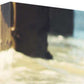 HomeRoots 25" Willet Walking Towards the Beach Giclee Wrap Canvas Wall Art