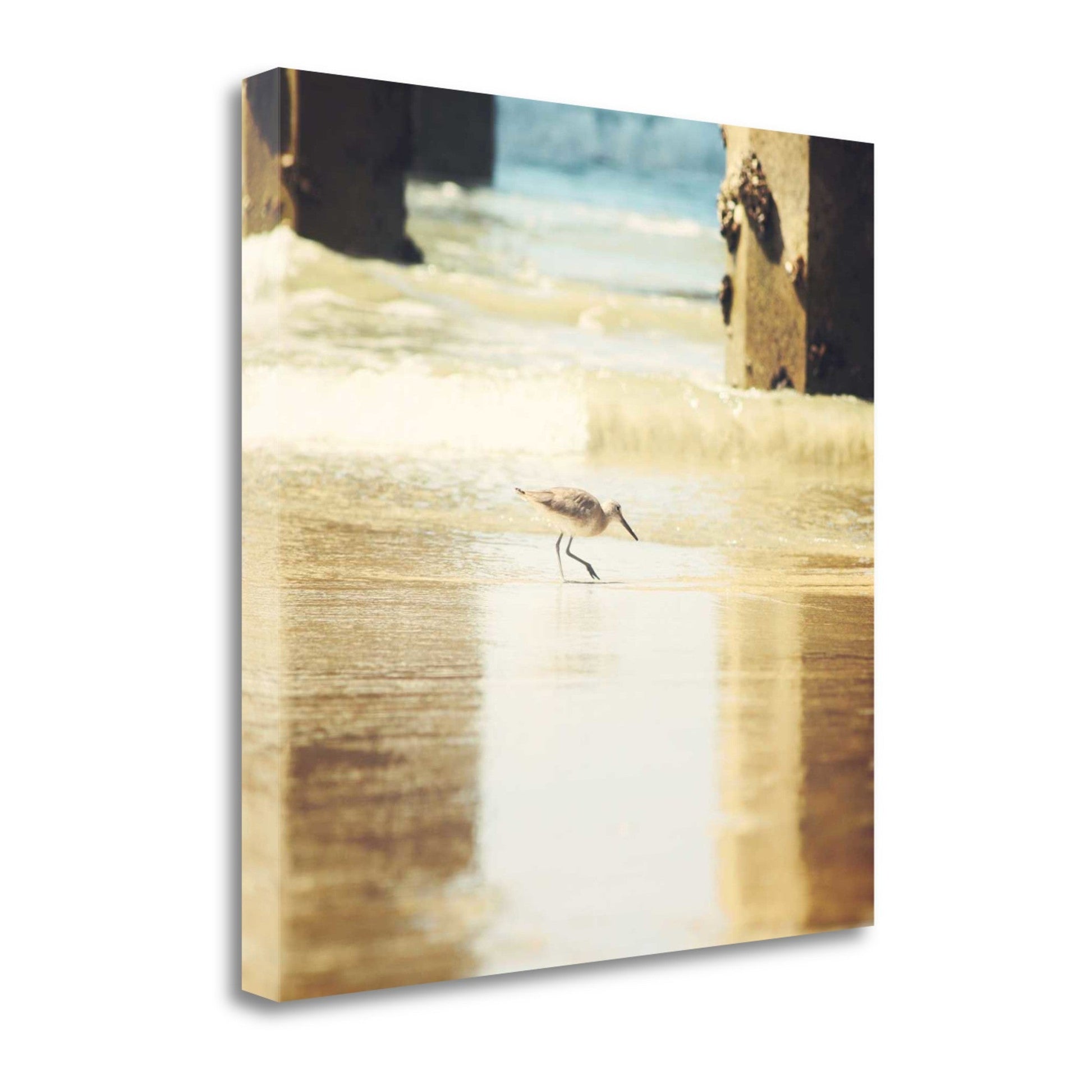 HomeRoots 25" Willet Walking Towards the Beach Giclee Wrap Canvas Wall Art
