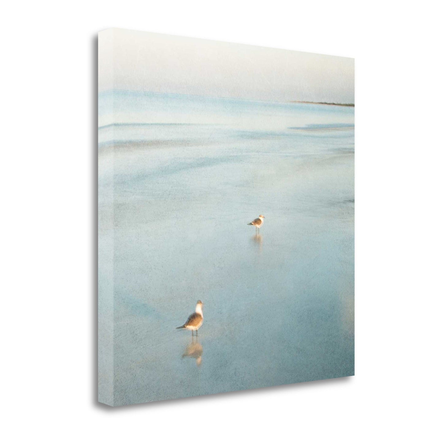 HomeRoots 26" Coastal Two Seagulls on the Beach Giclee Wrap Canvas Wall Art