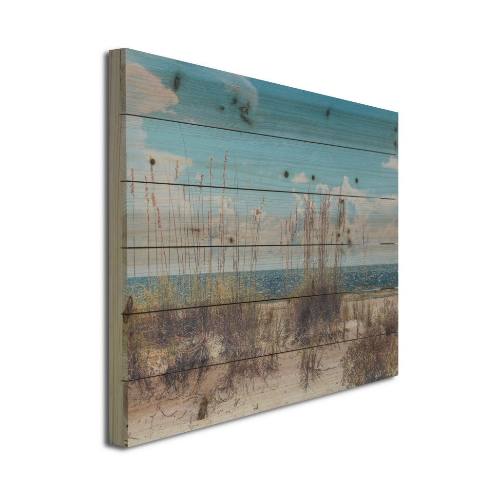 HomeRoots 26" Ocean Sand Dunes Wood Plank Wall Art