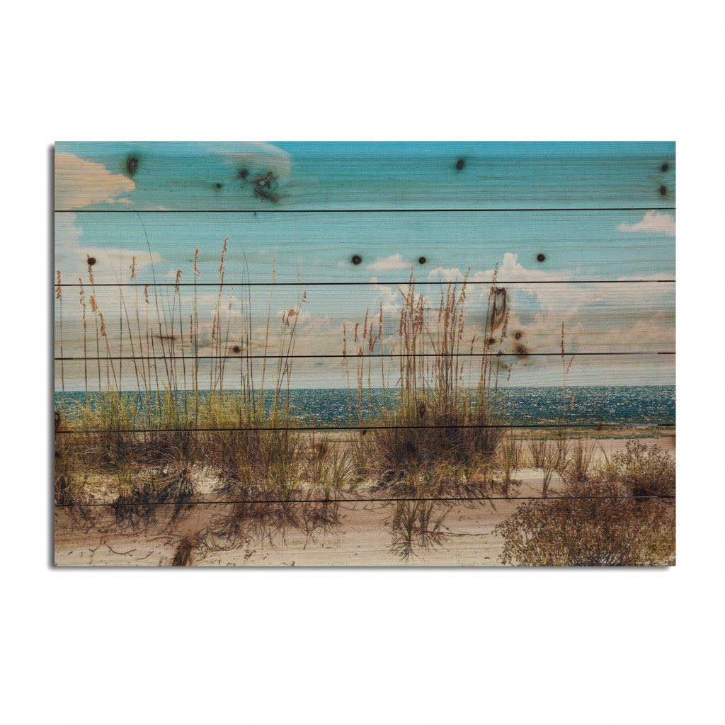 HomeRoots 26" Ocean Sand Dunes Wood Plank Wall Art