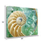 HomeRoots 26" Seashell and Green Seaglass Giclee Wrap Canvas Wall Art