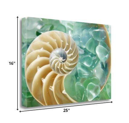 HomeRoots 26" Seashell and Green Seaglass Giclee Wrap Canvas Wall Art