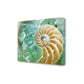 HomeRoots 26" Seashell and Green Seaglass Giclee Wrap Canvas Wall Art