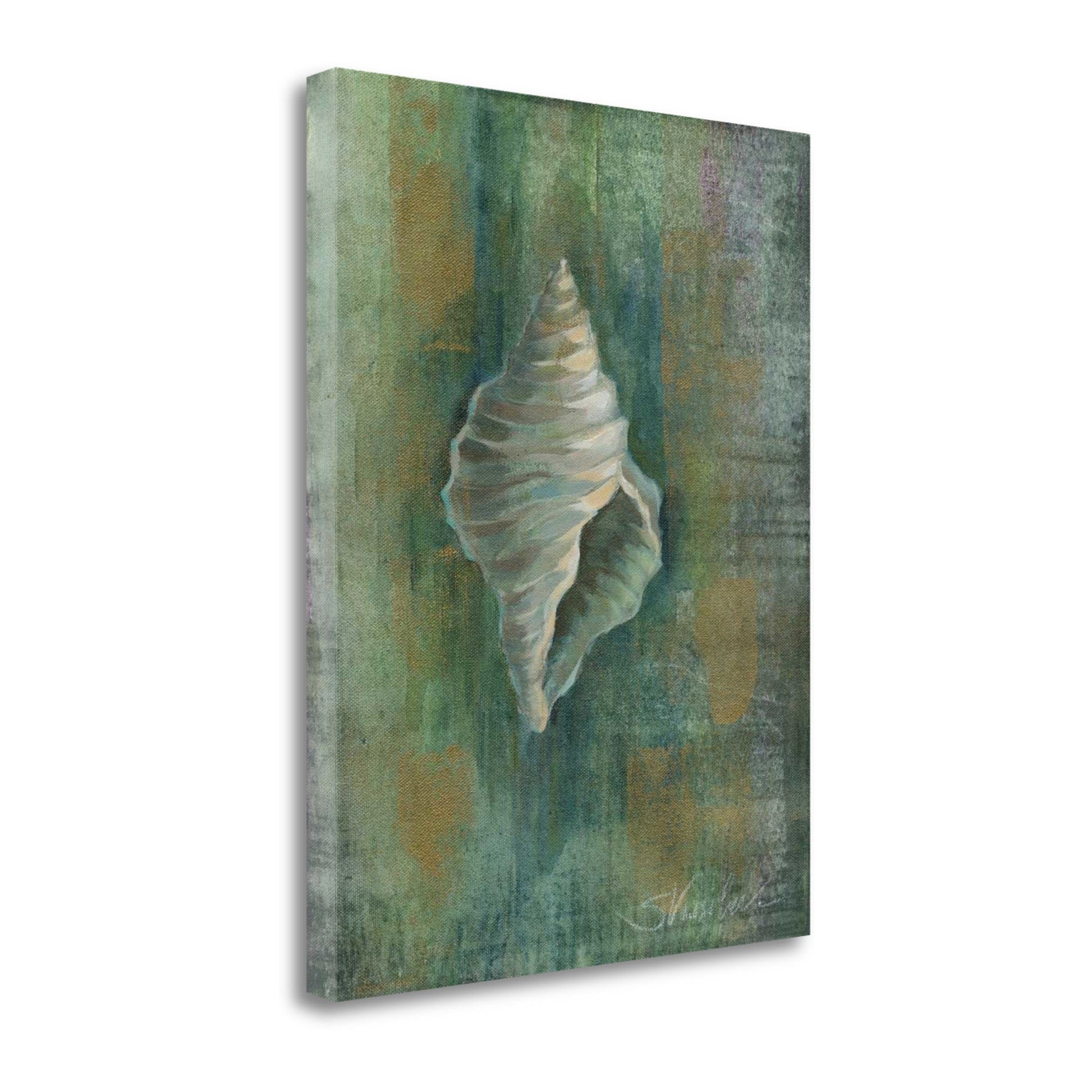 HomeRoots 27" Blue and Green Seashell Giclee Wrap Canvas Wall Art