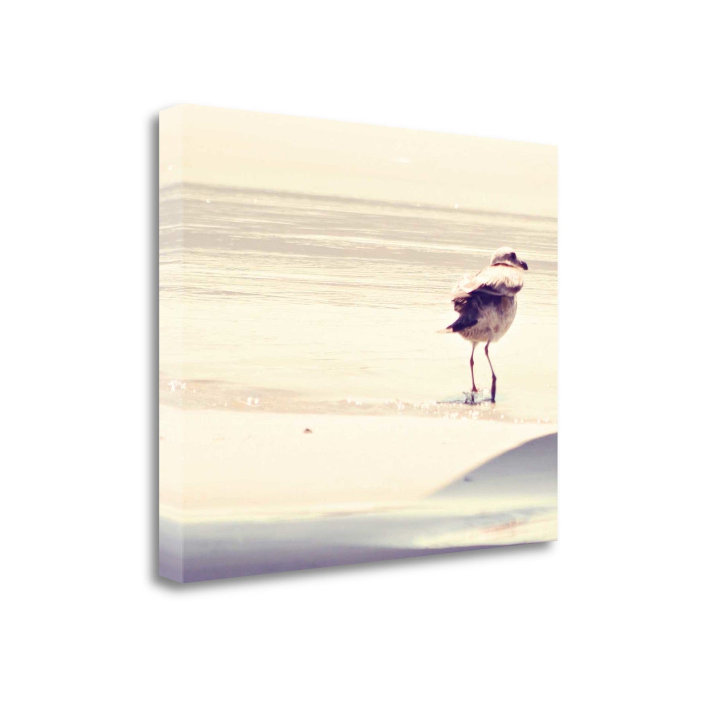 HomeRoots 27" Coastal Seagull on the Beach Print on Gallery Wrap Canvas Wall Art