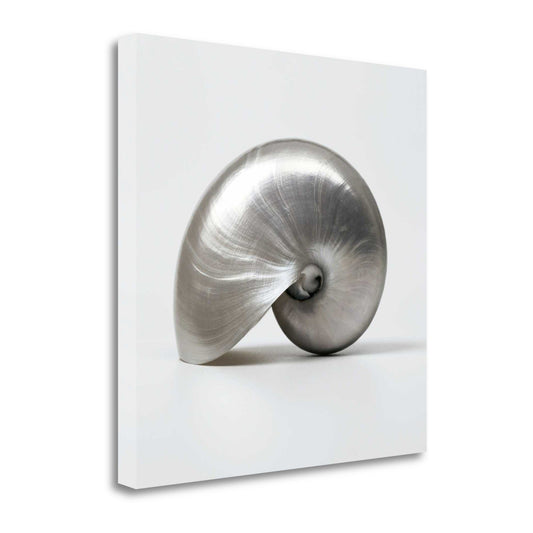 HomeRoots 27" Contemporary Metallic Seashell Print on Gallery Wrap Canvas Wall Art