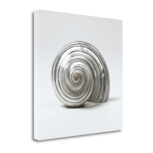 HomeRoots 27" Contemporary Metallic Silver Seashell Print on Gallery Wrap Canvas Wall Art