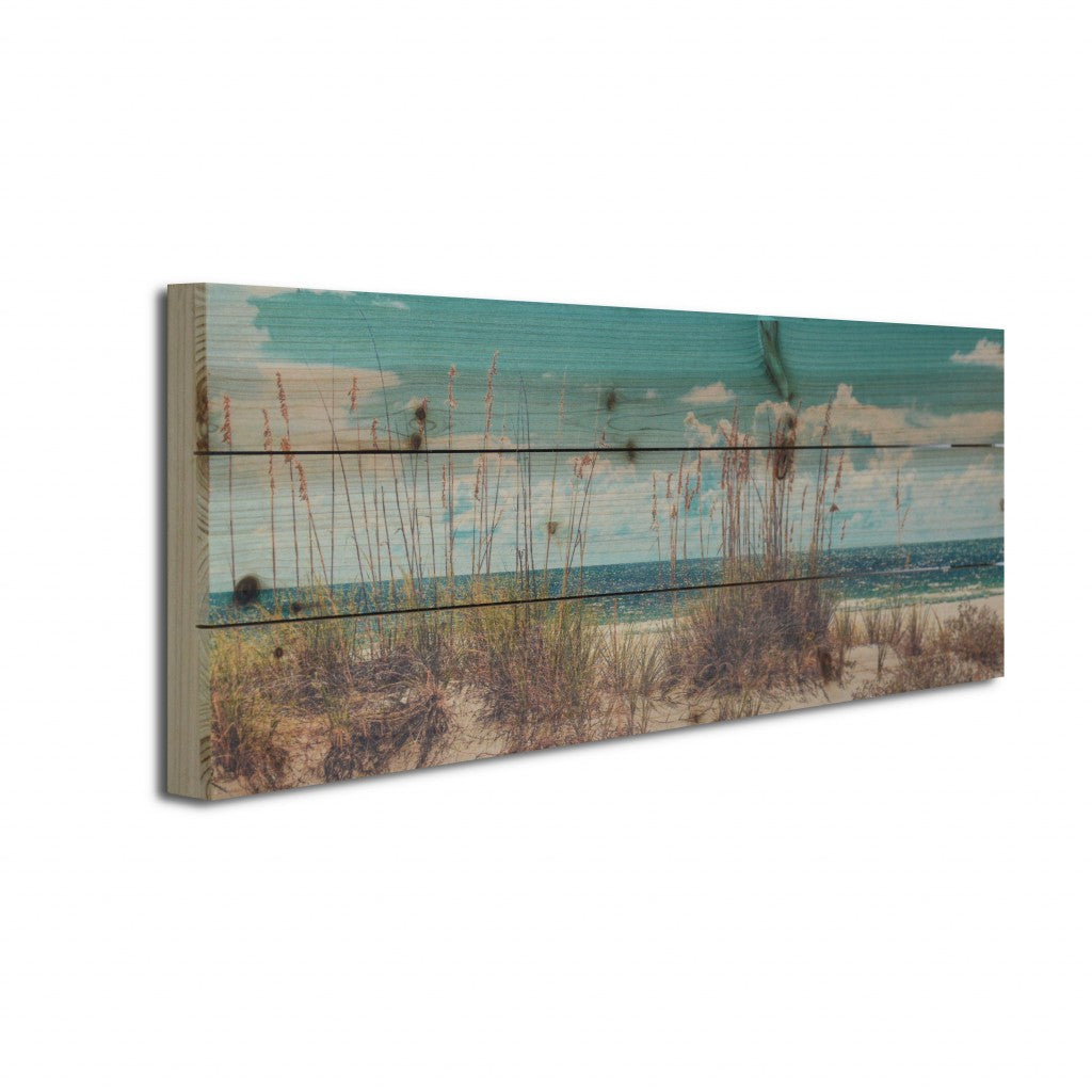 HomeRoots 27" Long Ocean Sand Dunes Wood Plank Wall Art