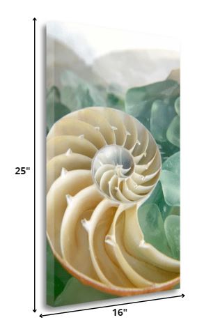 HomeRoots 27" Seashell and Seaglass Giclee Wrap Canvas Wall Art