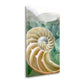 HomeRoots 27" Seashell and Seaglass Giclee Wrap Canvas Wall Art