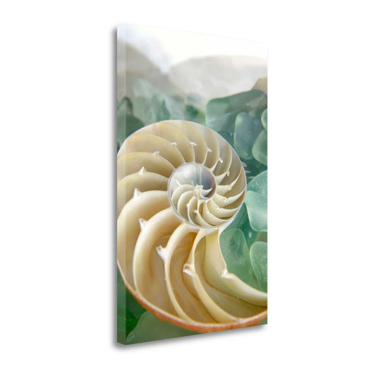 HomeRoots 27" Seashell and Seaglass Giclee Wrap Canvas Wall Art