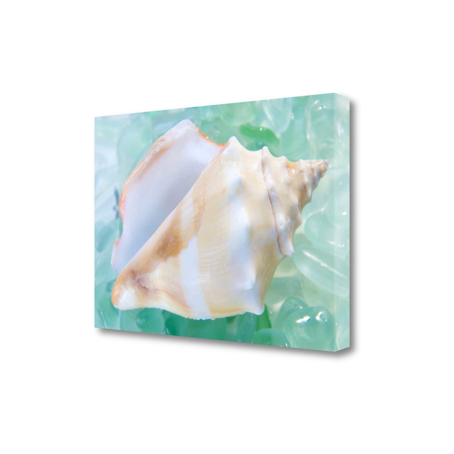 HomeRoots 28" Seashell and Seaglass Giclee Wrap Canvas Wall Art