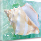 HomeRoots 28" Seashell and Seaglass Giclee Wrap Canvas Wall Art