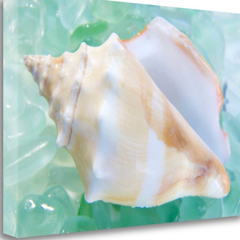 HomeRoots 28" Seashell and Seaglass Giclee Wrap Canvas Wall Art