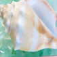 HomeRoots 28" Seashell and Seaglass Giclee Wrap Canvas Wall Art