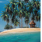 HomeRoots 29" Beach Shack on an Island Giclee Wrap Canvas Wall Art