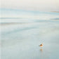 HomeRoots 29" Coastal Two Seagulls on the Beach Giclee Wrap Canvas Wall Art