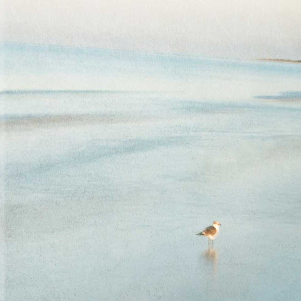 HomeRoots 29" Coastal Two Seagulls on the Beach Giclee Wrap Canvas Wall Art