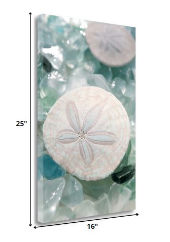 HomeRoots 29" Seashell and Seaglass Giclee Wrap Canvas Wall Art