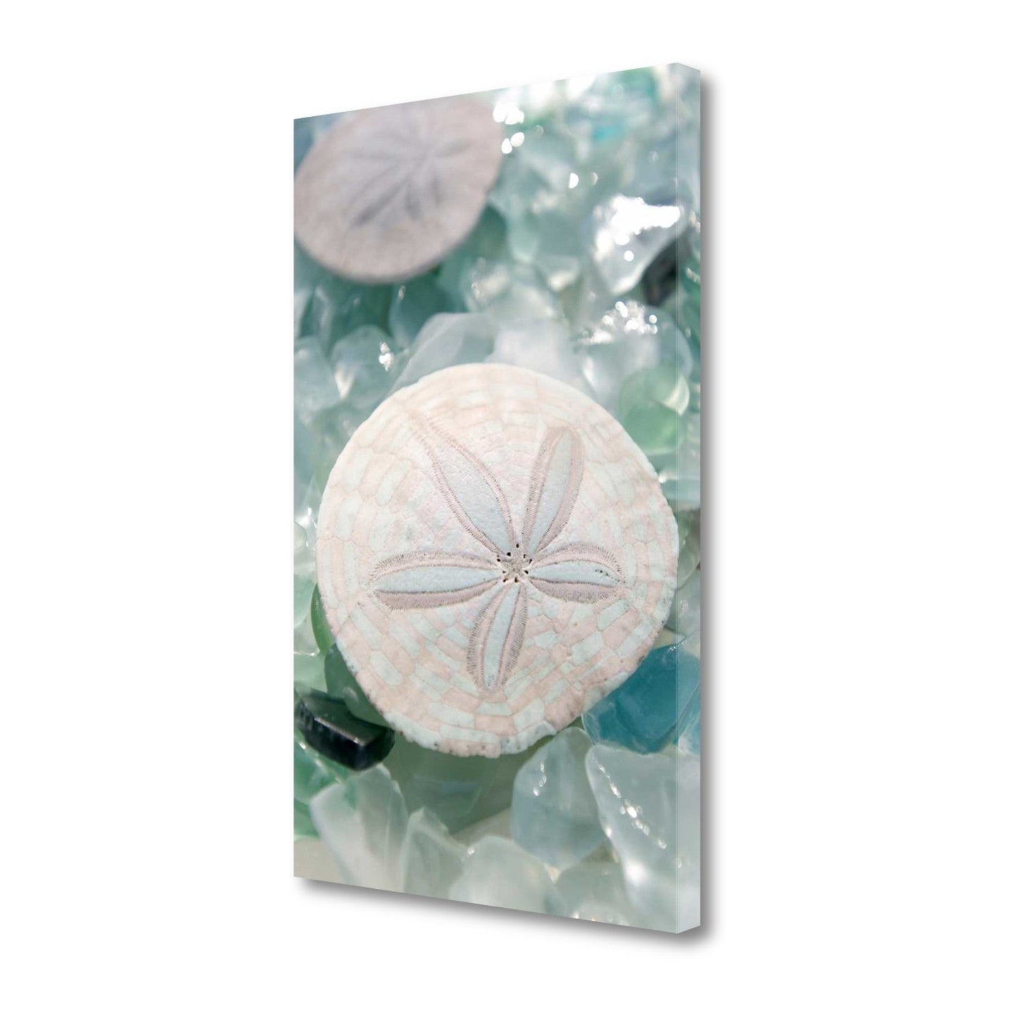 HomeRoots 29" Seashell and Seaglass Giclee Wrap Canvas Wall Art