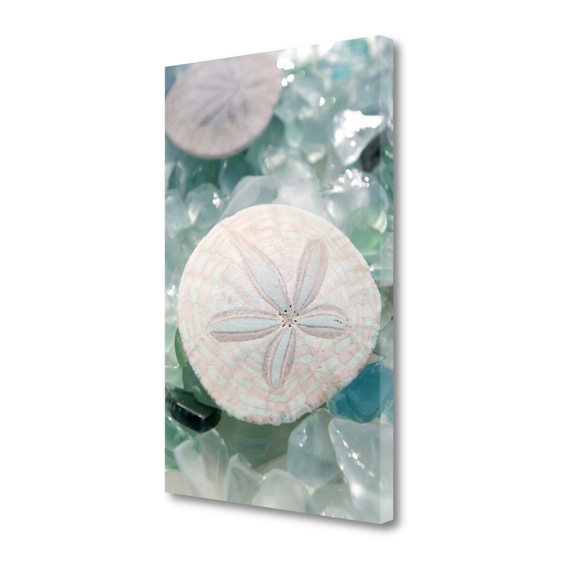 HomeRoots 29" Seashell and Seaglass Giclee Wrap Canvas Wall Art