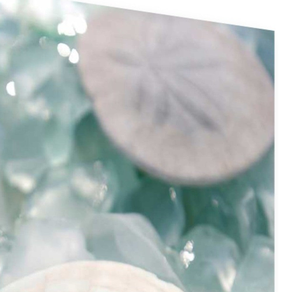 HomeRoots 29" Seashell and Seaglass Giclee Wrap Canvas Wall Art