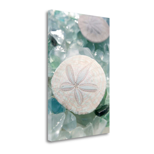 HomeRoots 29" Seashell and Seaglass Giclee Wrap Canvas Wall Art