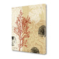 HomeRoots 29" Underwater Coral with Seashells and Sandollar 3 Giclee Wrap Canvas Wall Art