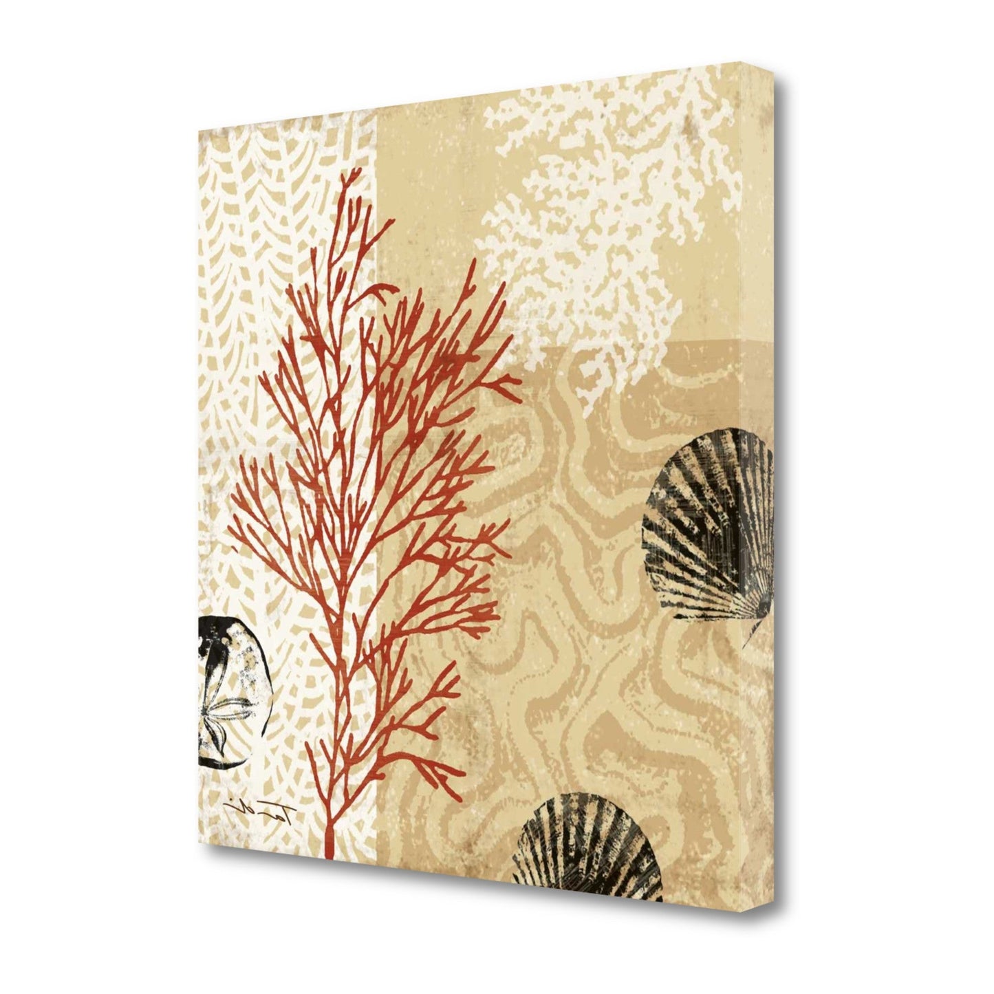 HomeRoots 29" Underwater Coral with Seashells and Sandollar 3 Giclee Wrap Canvas Wall Art