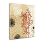 HomeRoots 29" Underwater Coral with Seashells and Sandollar 3 Giclee Wrap Canvas Wall Art