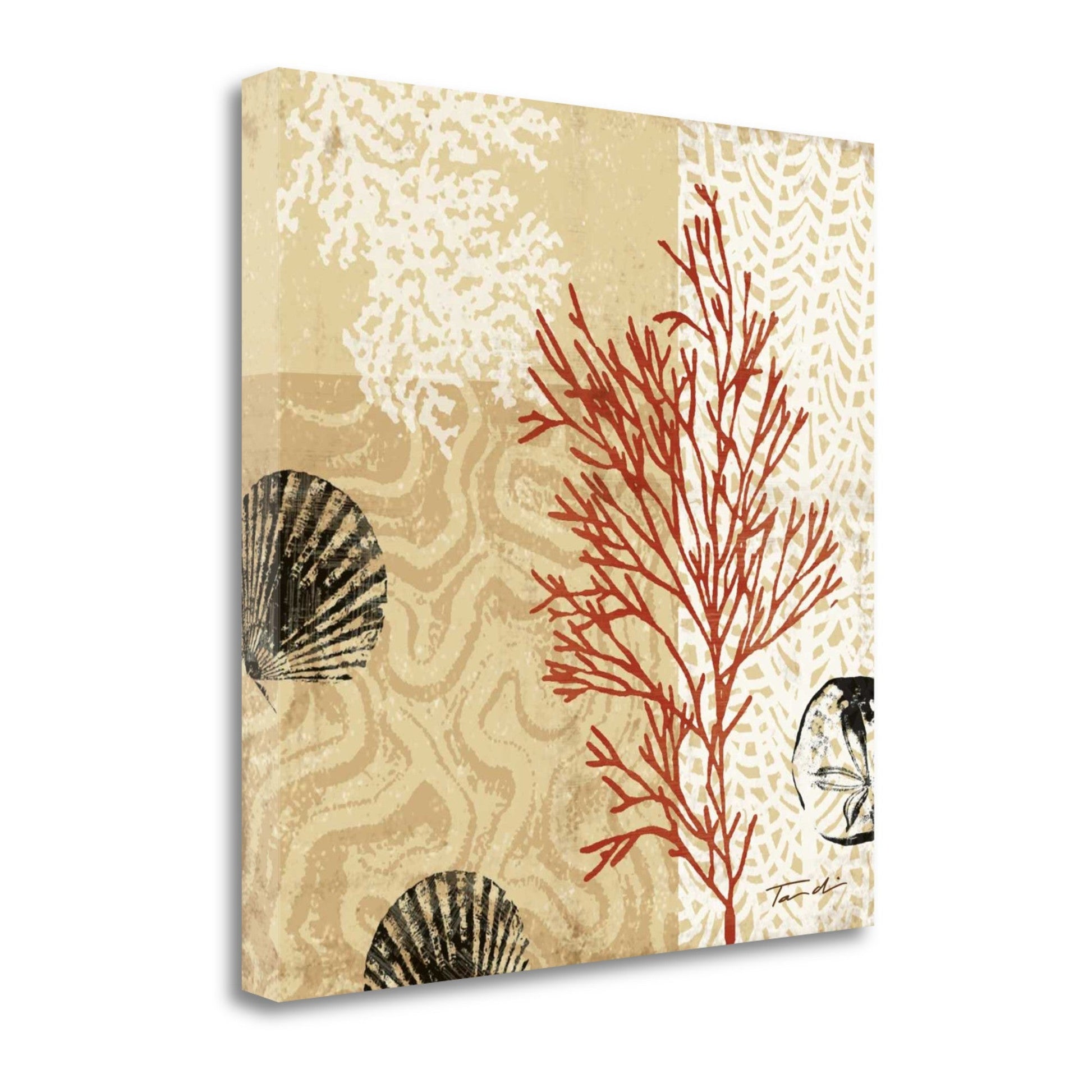 HomeRoots 29" Underwater Coral with Seashells and Sandollar 3 Giclee Wrap Canvas Wall Art