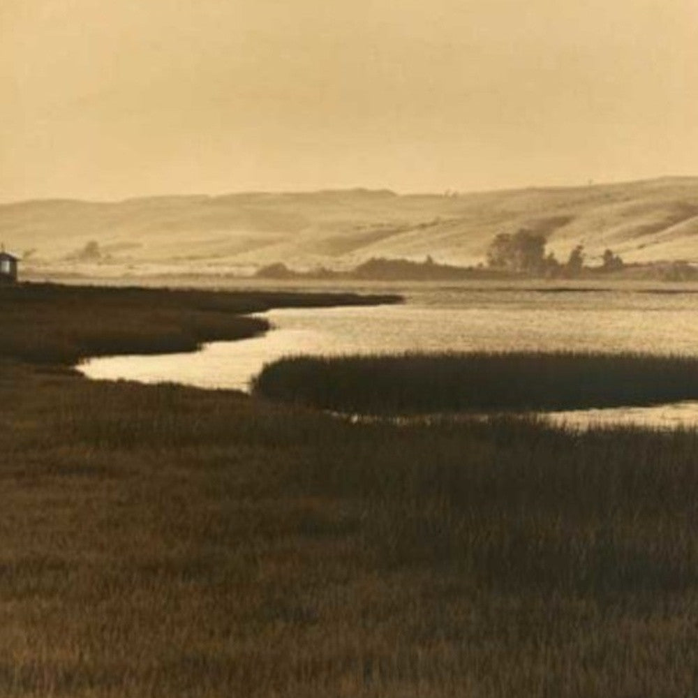 HomeRoots 32" By the Water Sepia Tone Giclee Wrap Canvas Wall Art