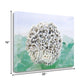 HomeRoots 32" White Sea Urchin and Green Seaglass Giclee Wrap Canvas Wall Art