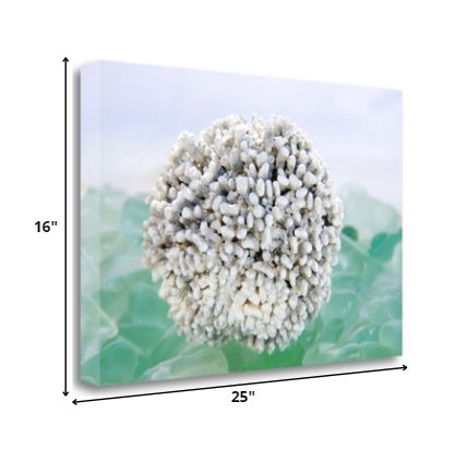 HomeRoots 32" White Sea Urchin and Green Seaglass Giclee Wrap Canvas Wall Art