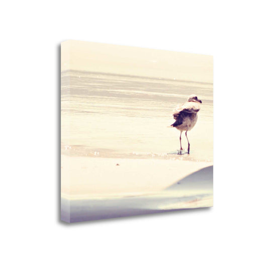 HomeRoots 33" Coastal Seagull on the Beach Print on Gallery Wrap Canvas Wall Art