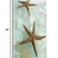 HomeRoots 33" Two Brown Starfish and Blue Seaglass Giclee Wrap Canvas Wall Art