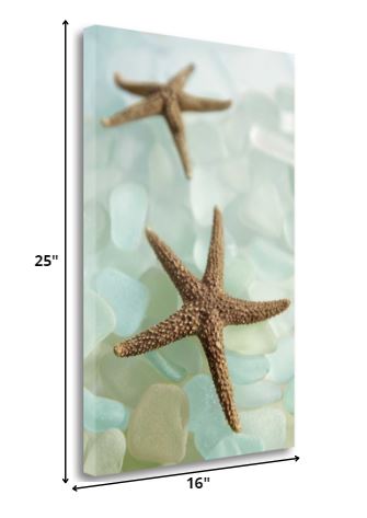 HomeRoots 33" Two Brown Starfish and Blue Seaglass Giclee Wrap Canvas Wall Art