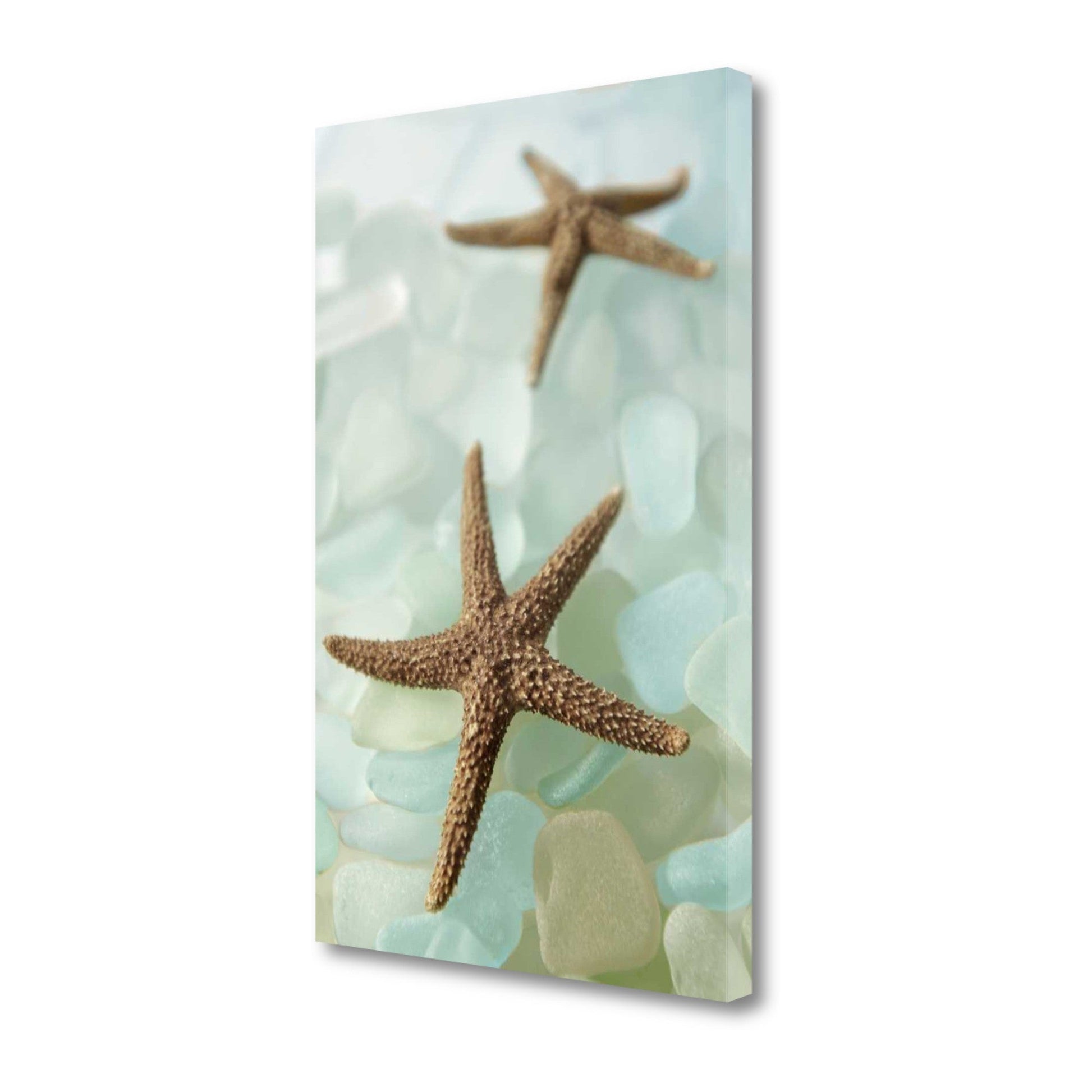 HomeRoots 33" Two Brown Starfish and Blue Seaglass Giclee Wrap Canvas Wall Art