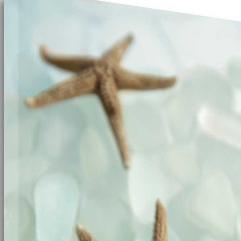 HomeRoots 33" Two Brown Starfish and Blue Seaglass Giclee Wrap Canvas Wall Art