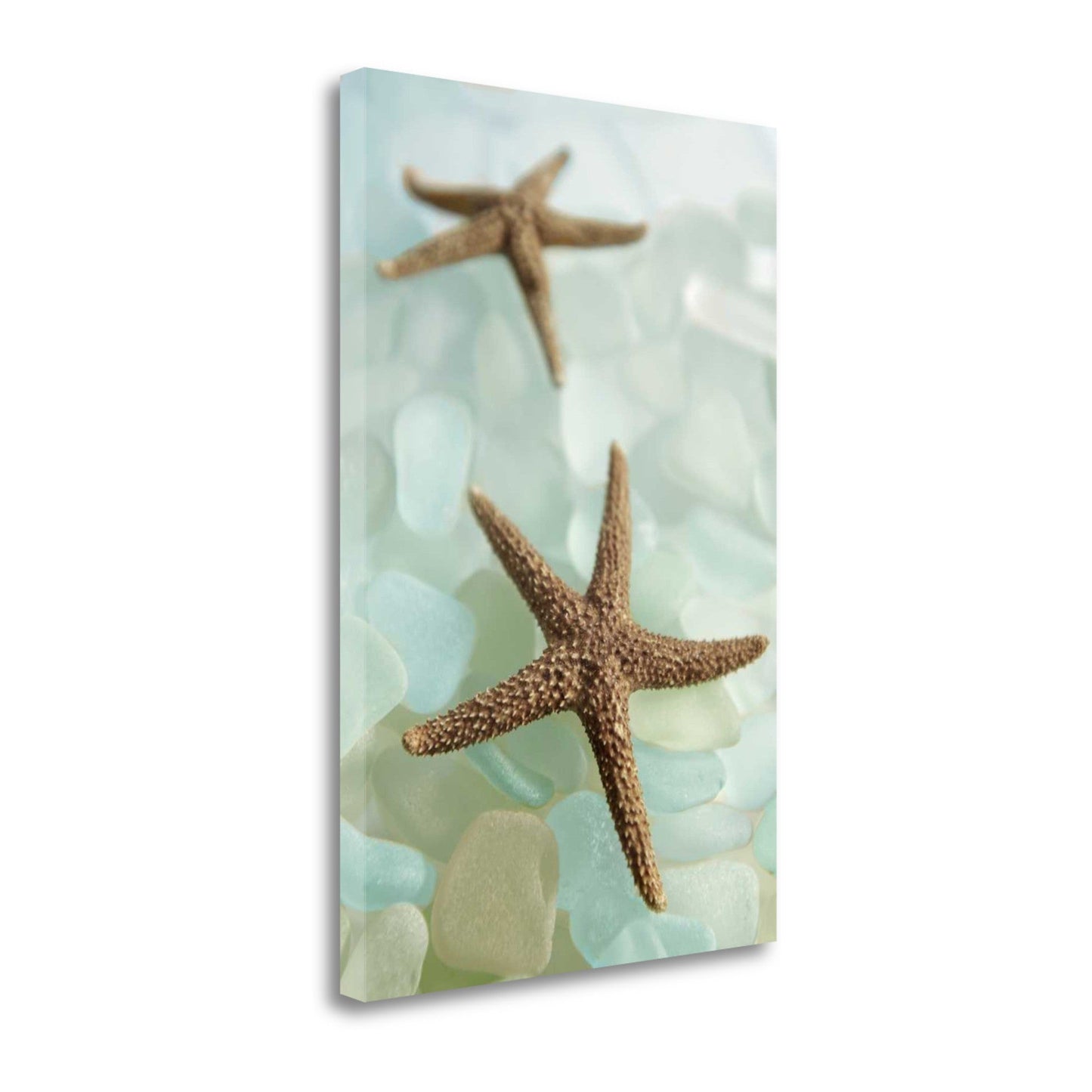 HomeRoots 33" Two Brown Starfish and Blue Seaglass Giclee Wrap Canvas Wall Art