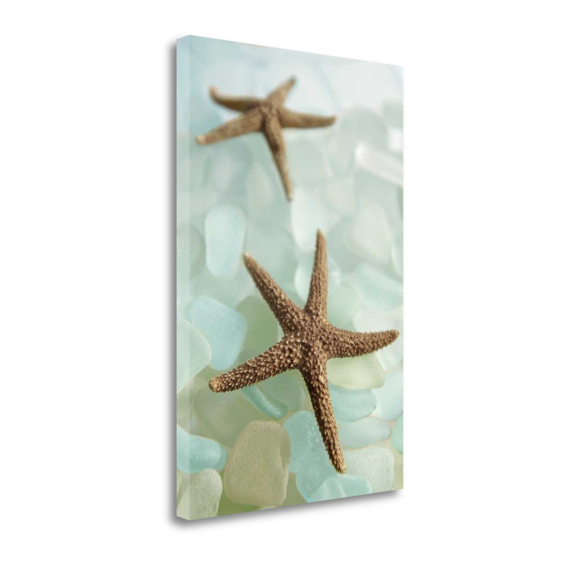 HomeRoots 33" Two Brown Starfish and Blue Seaglass Giclee Wrap Canvas Wall Art